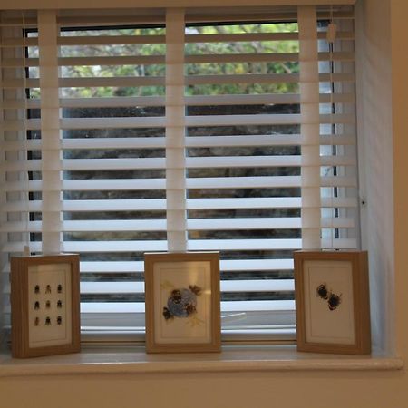 Rossett Pike Apartment Боунес он Уиндърмиър Екстериор снимка